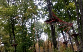IMG_20181002_120657 IMG_20181002_120657