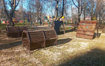 сипс1 (10) (1)