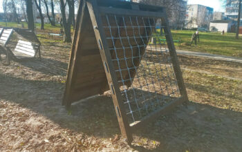 сипс1 (21) (1)