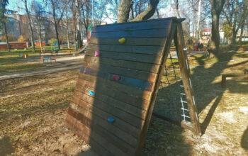 сипс1 (22) (1)