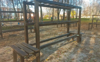 сипс1 (24) (1)