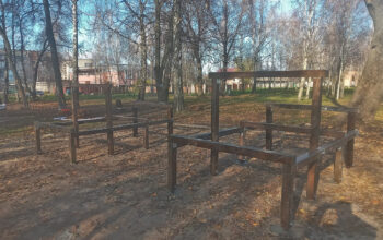 сипс1 (6) (1)