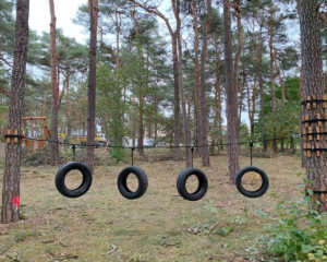 Park linowy "Małpi Gaj" od producenta MIRTA – Projekt 2406-1-09