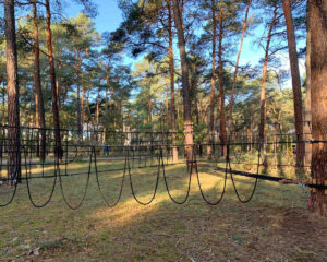 Dziecięcy park linowy "Małpi Gaj" – Wykonanie i montaż od MIRTA – Projekt 2406-1-13